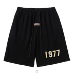 VAULT - Essentials 1977 Set